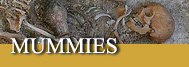 mummies