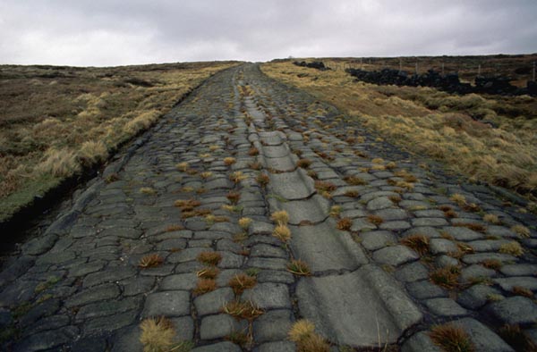Paved Roman Road