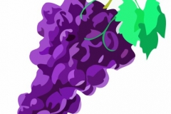 Clip Art - Roman Food Grapes