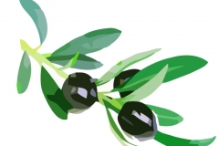 Clip Art - Roman Food Olives