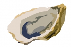 Clip Art - Roman Food Oyster Shellfish