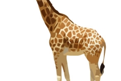 Clip Art - Roman Galdiators Animals Giraffes